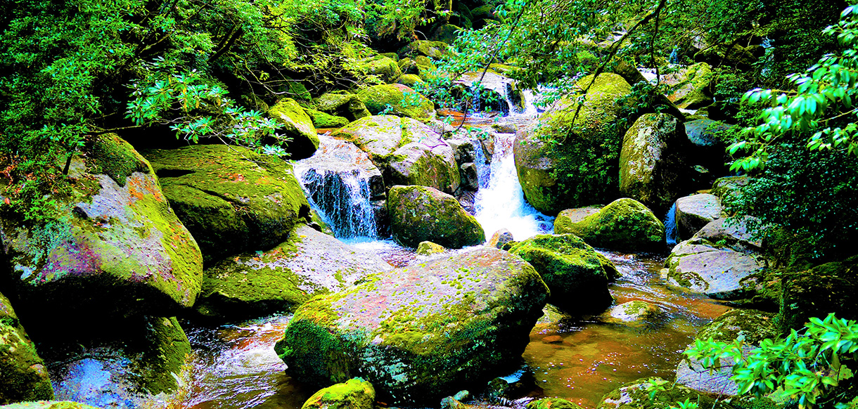 名水が多い富山